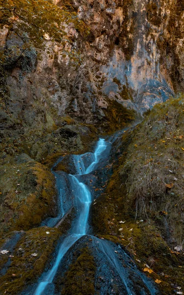 Gyönyörű Vízesés Erdőben Természet Háttér — Stock Fotó