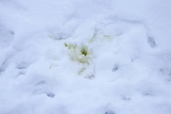 Vit Snö Struktur Bakgrund — Stockfoto