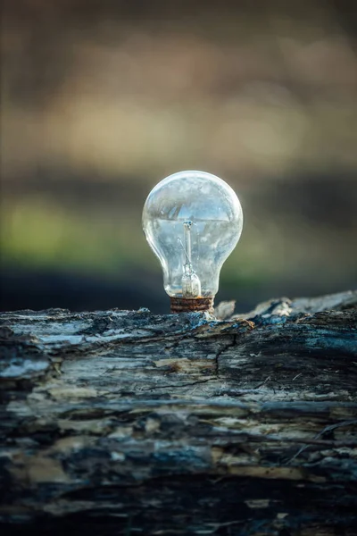Närbild Glaslampa Träbakgrund — Stockfoto