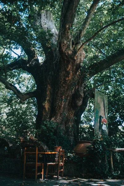 Hermosa Vista Del Parque — Foto de Stock