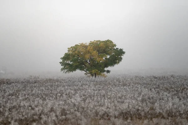 Schöne Aussicht Auf Die Natur — Stockfoto