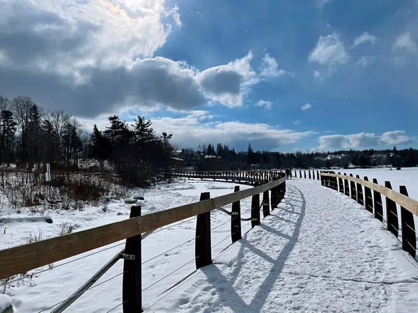 Bela Vista Parque Inverno — Fotografia de Stock