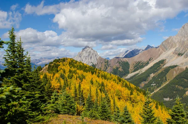 Schöne Herbstlandschaft Mit Bäumen Und Bergen — Stockfoto