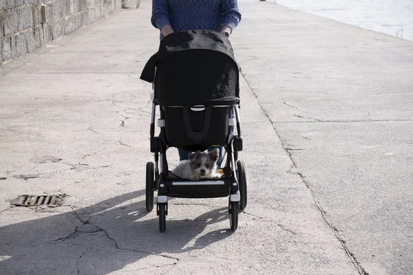 Behinderte Rollstuhl Mit Kinderwagen Auf Der Straße — Stockfoto