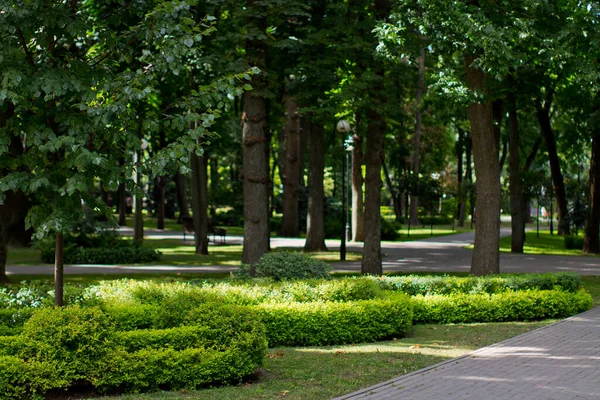 Gyönyörű Park Városban — Stock Fotó