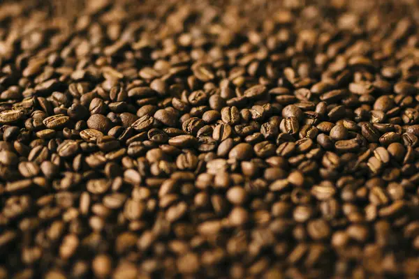 Rostade Kaffebönor Nära Håll — Stockfoto