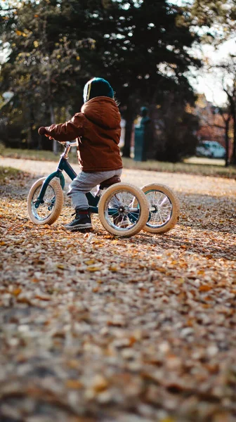 Ragazzo Bicicletta Nel Parco Autunnale — Foto Stock