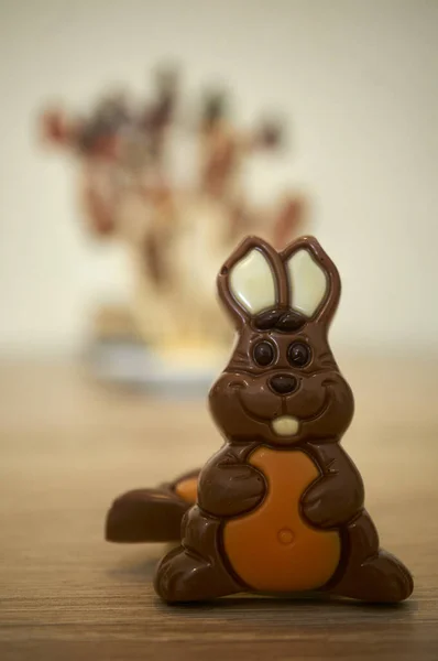 Tahta Arka Planda Çikolatalı Tavşan — Stok fotoğraf