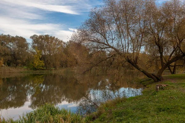 Ağaçlar Nehirlerle Dolu Sonbahar Manzarası — Stok fotoğraf