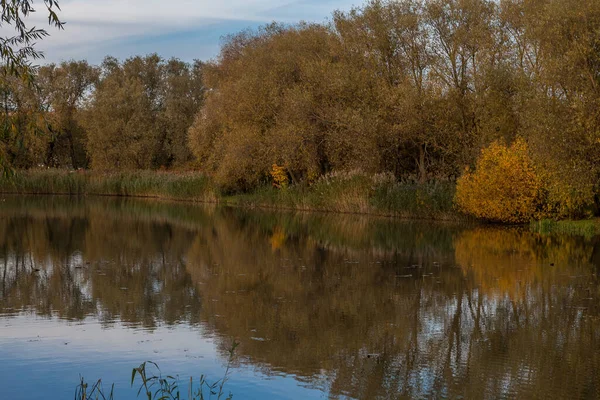 Herbstlandschaft Mit Bäumen Und Fluss — Stockfoto