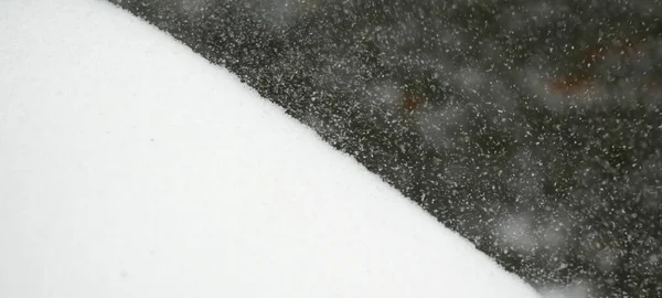 Camino Cubierto Nieve Parque —  Fotos de Stock