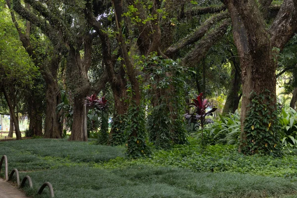 Una Hermosa Foto Una Joven Pareja Caminando Por Parque — Foto de Stock