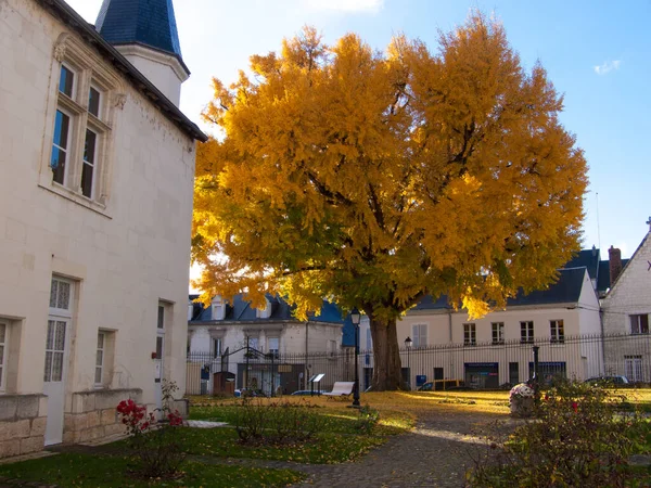 Paysage Automne Avec Arbre Des Bâtiments — Photo