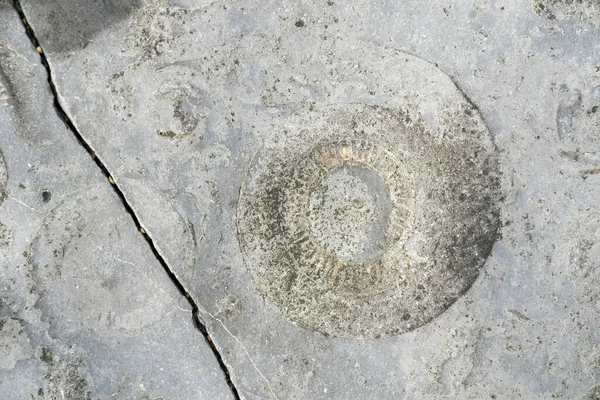 Fondo Piedra Con Arena Baldosas Hormigón Viejo — Foto de Stock