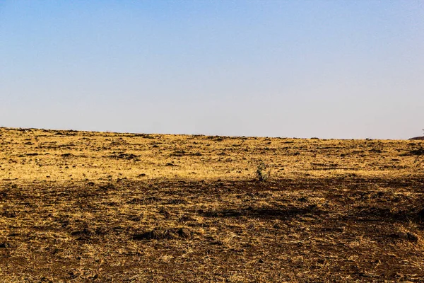 Primer Plano Una Tierra Seca Desierto —  Fotos de Stock