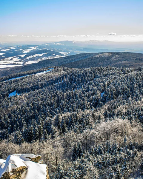 冬季森林的鸟瞰图 — 图库照片