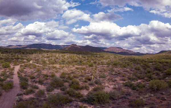 Beau Paysage Avec Une Montagne Arrière Plan — Photo