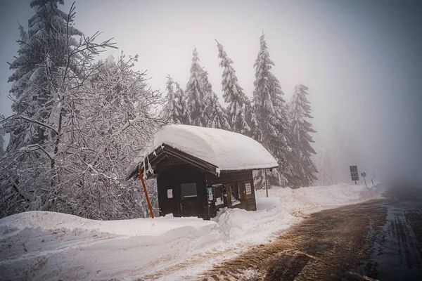 雪に覆われた木々の冬の風景 — ストック写真