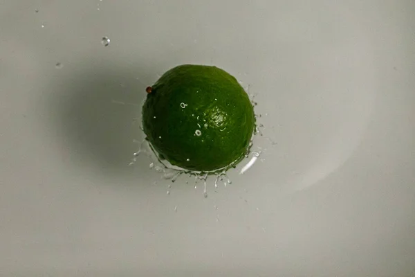 Свіжа Зелена Вода Краплями Роси Білому Тлі — стокове фото