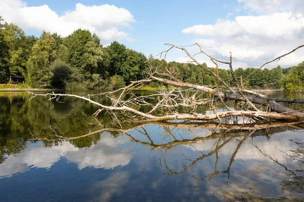 Beau Paysage Avec Une Rivière Lac Arrière Plan — Photo