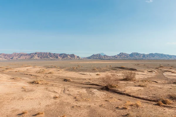 Vue Sur Désert Néguev Dans Vallée Namib Namibie Afrique — Photo