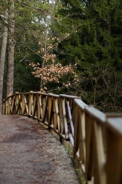 Holzbrücke Wald — Stockfoto