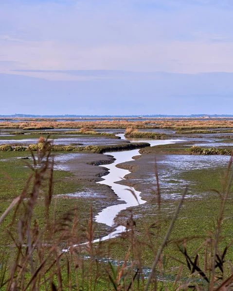 Prachtig Uitzicht Rivier Vallei — Stockfoto