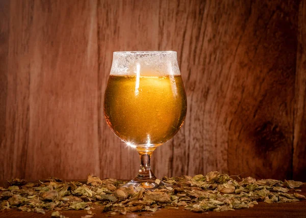 Bierglas Mit Goldenem Hintergrund — Stockfoto