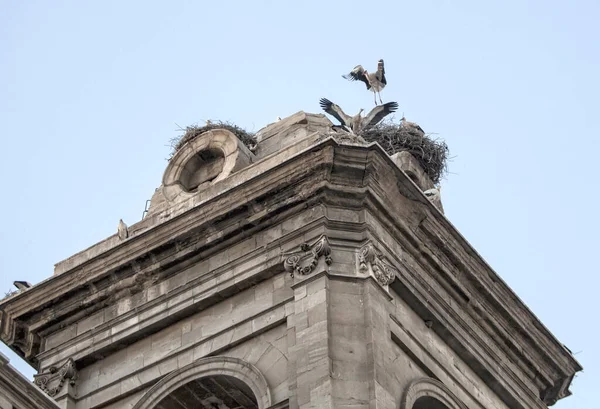 Die Berühmte Architektur Von Paris — Stockfoto