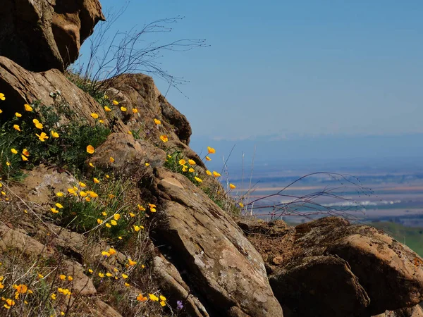 Bela Vista Paisagem Natureza — Fotografia de Stock