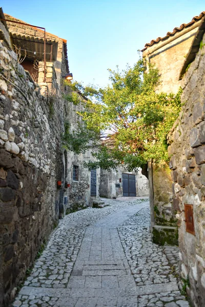 Altstadt Der Stadt Dubrovnik Kroatien — Stockfoto