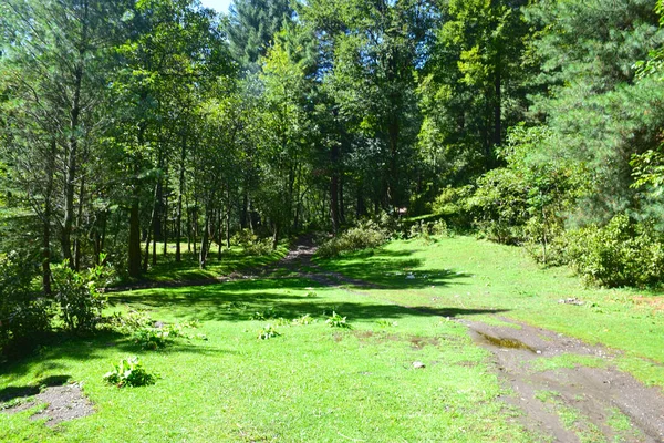 Hermosa Vista Del Parque —  Fotos de Stock