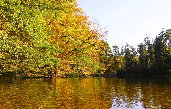Krásná Podzimní Krajina Stromy Listy — Stock fotografie