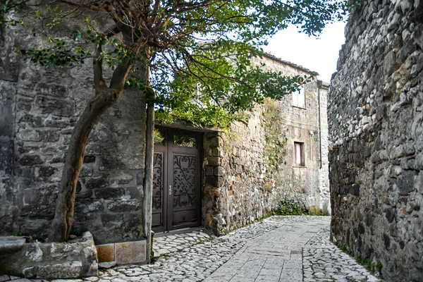 Stará Kamenná Zeď Městě Kotor Montenegro — Stock fotografie