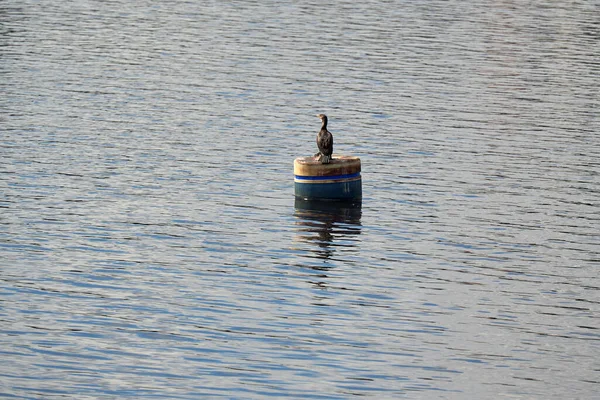 Ein Kleines Boot Auf Dem See — Stockfoto