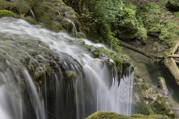 Cachoeira Floresta — Fotografia de Stock