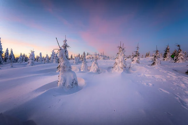 Prachtig Winterlandschap Met Besneeuwde Bomen — Stockfoto