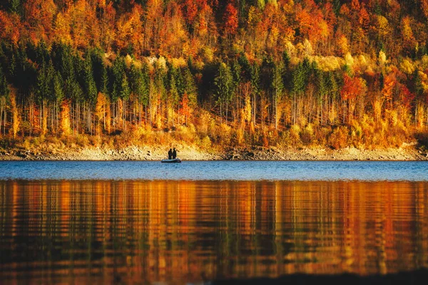 Herbstlandschaft Mit Bäumen Und Wald — Stockfoto