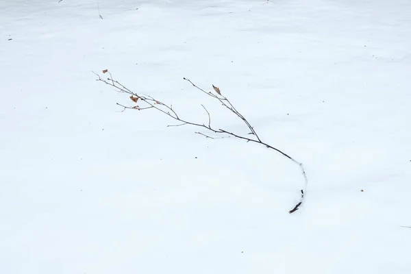 Piękny Biały Śnieg Ziemi — Zdjęcie stockowe