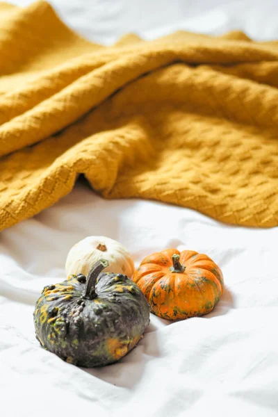 Halloween Pumpkins White Cloth — Stock Photo, Image