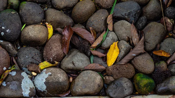 Piedras Playa — Foto de Stock