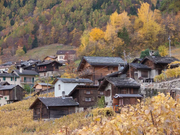 Autumn Landscape Mountains — Stock Photo, Image