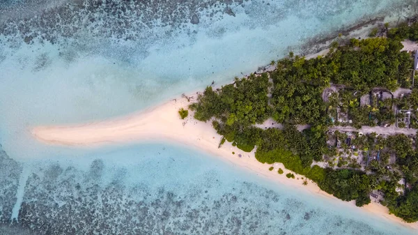 Vanuit Lucht Uitzicht Het Strand Met Palmbomen Blauwe Lucht — Stockfoto