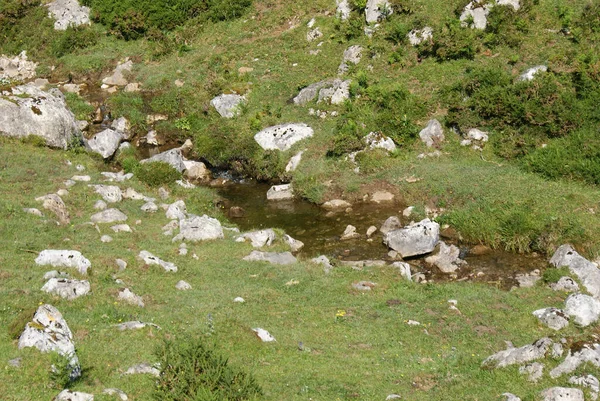 Yeşil Çimenler Kayalarla Kaplı Dağ Manzarası — Stok fotoğraf