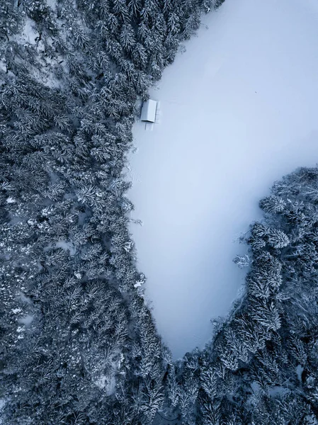Εναέρια Άποψη Των Καλυμμένων Χιόνι Δέντρων Στο Δάσος — Φωτογραφία Αρχείου