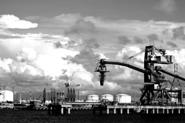 Black White Image Port Baltic Sea — Stock Photo, Image