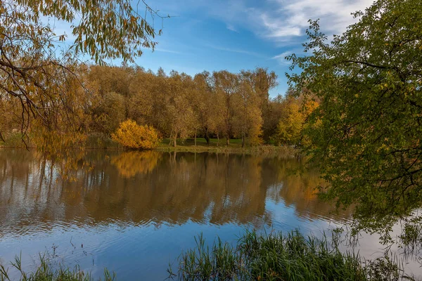 Autumn Landscape Trees Reflections — Stock Photo, Image