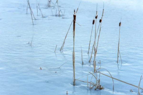 Bevroren Meer Winter — Stockfoto