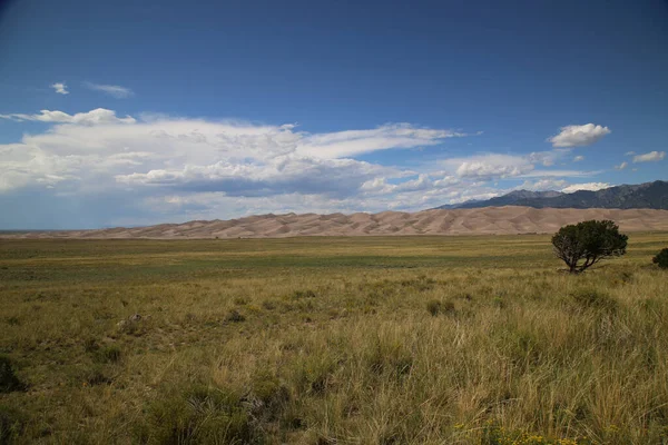 Vackert Landskap Med Gräsfält Och Mulen Himmel — Stockfoto