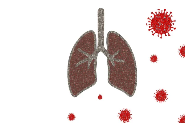 Human Respiratory System Anatomy Illustration — Stock Photo, Image